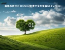 雨林木风Win10 22H2免费中文专业版x64 V2024