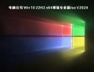 电脑公司 Win10 22H2 x64增强专业版iso V2024
