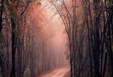 win10专业版免费永久激活系统破解版，win10专业版永久激活工具下载