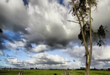 win10电脑提速20倍只需这4步，win10提速技巧