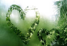 win10下载纯净版iso文件，windows10下载纯净版